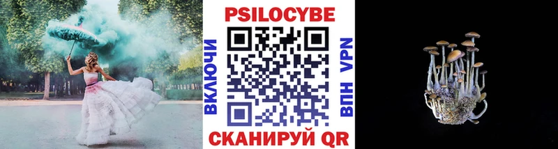 Галлюциногенные грибы Psilocybine cubensis  Арамиль 